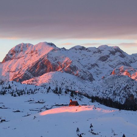 Velika Planina - Chalet Stane - Alps Stahovica Kültér fotó