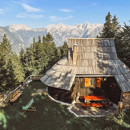 Velika Planina - Chalet Stane - Alps Stahovica Kültér fotó