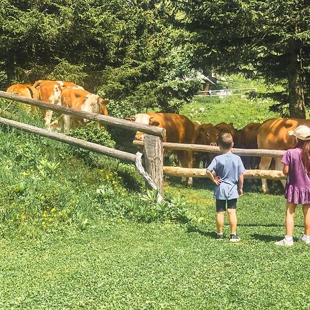 Velika Planina - Chalet Stane - Alps Stahovica Kültér fotó