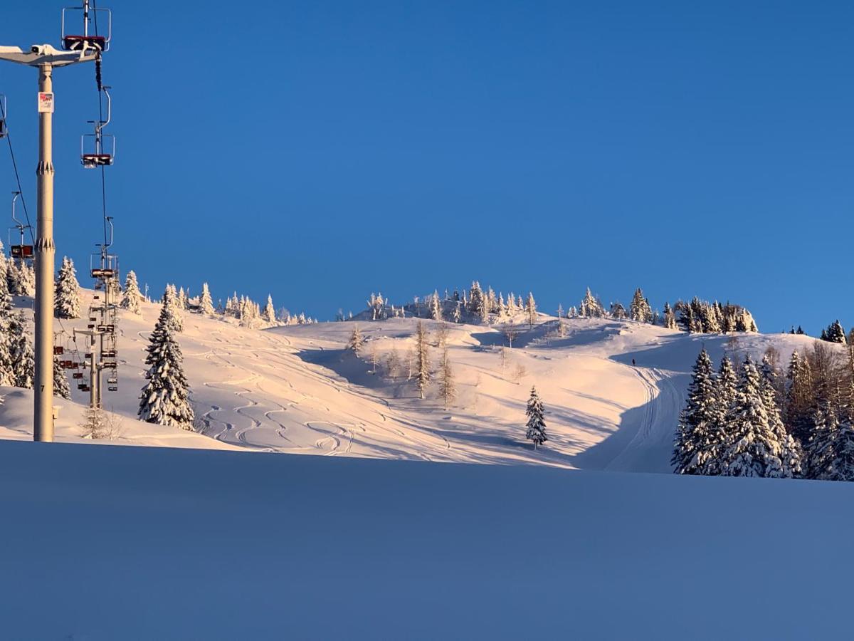 Velika Planina - Chalet Stane - Alps Stahovica Kültér fotó