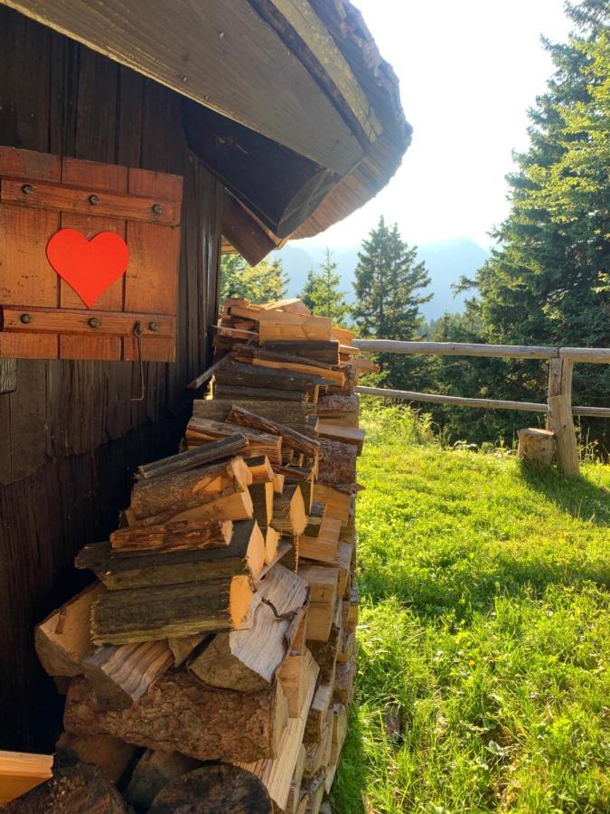 Velika Planina - Chalet Stane - Alps Stahovica Kültér fotó