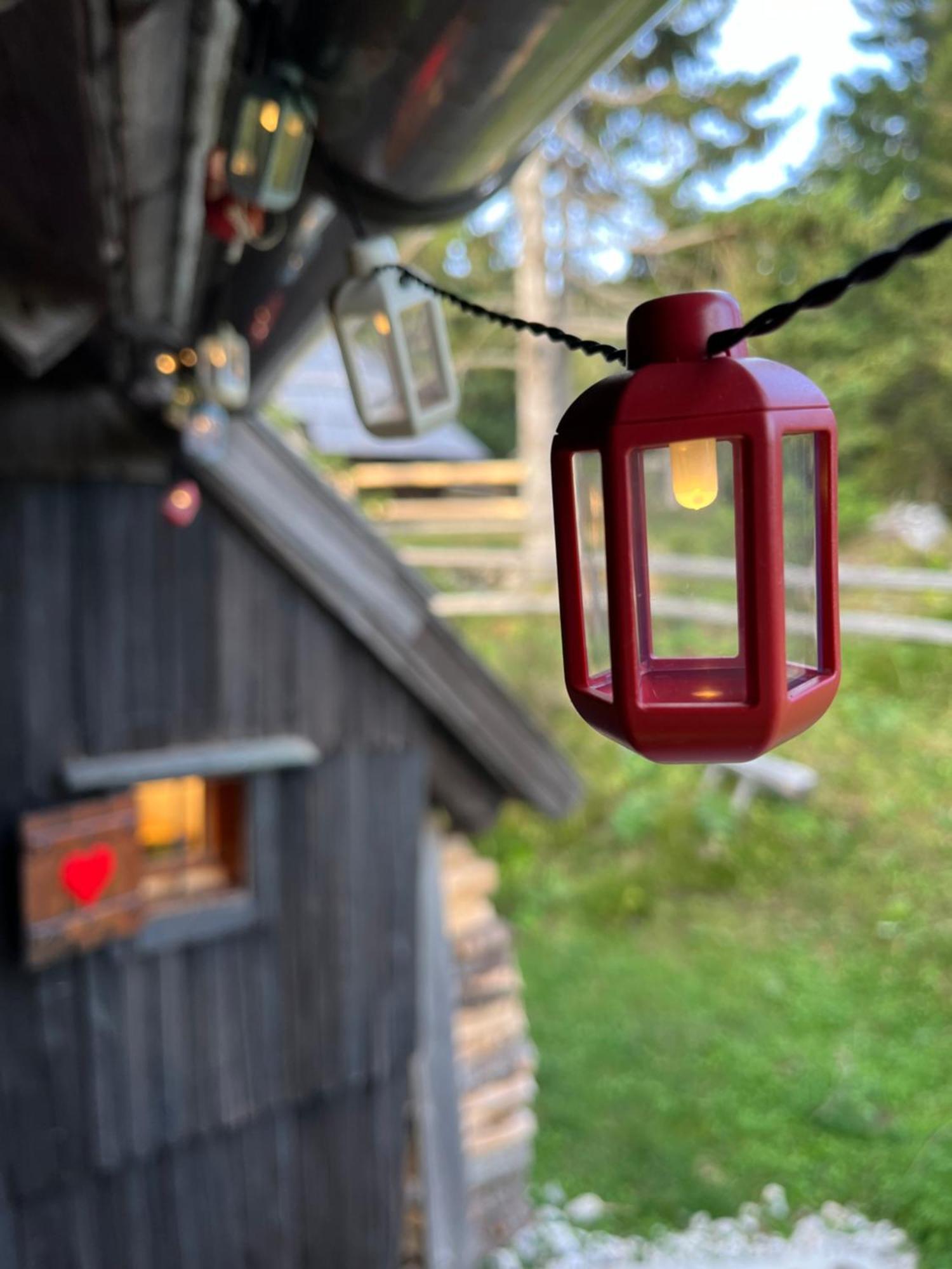 Velika Planina - Chalet Stane - Alps Stahovica Kültér fotó
