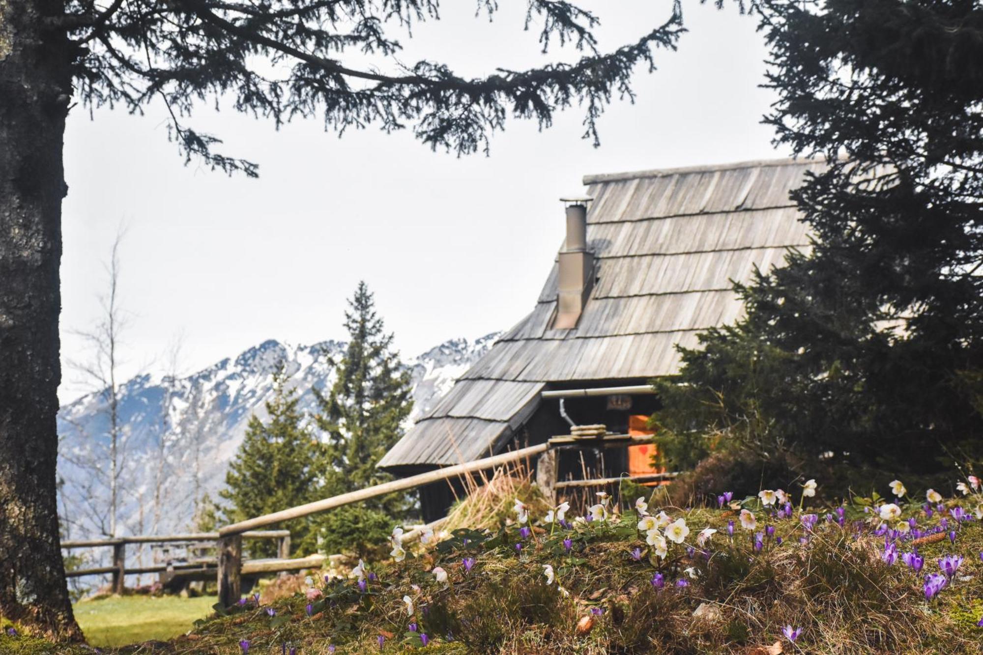 Velika Planina - Chalet Stane - Alps Stahovica Kültér fotó