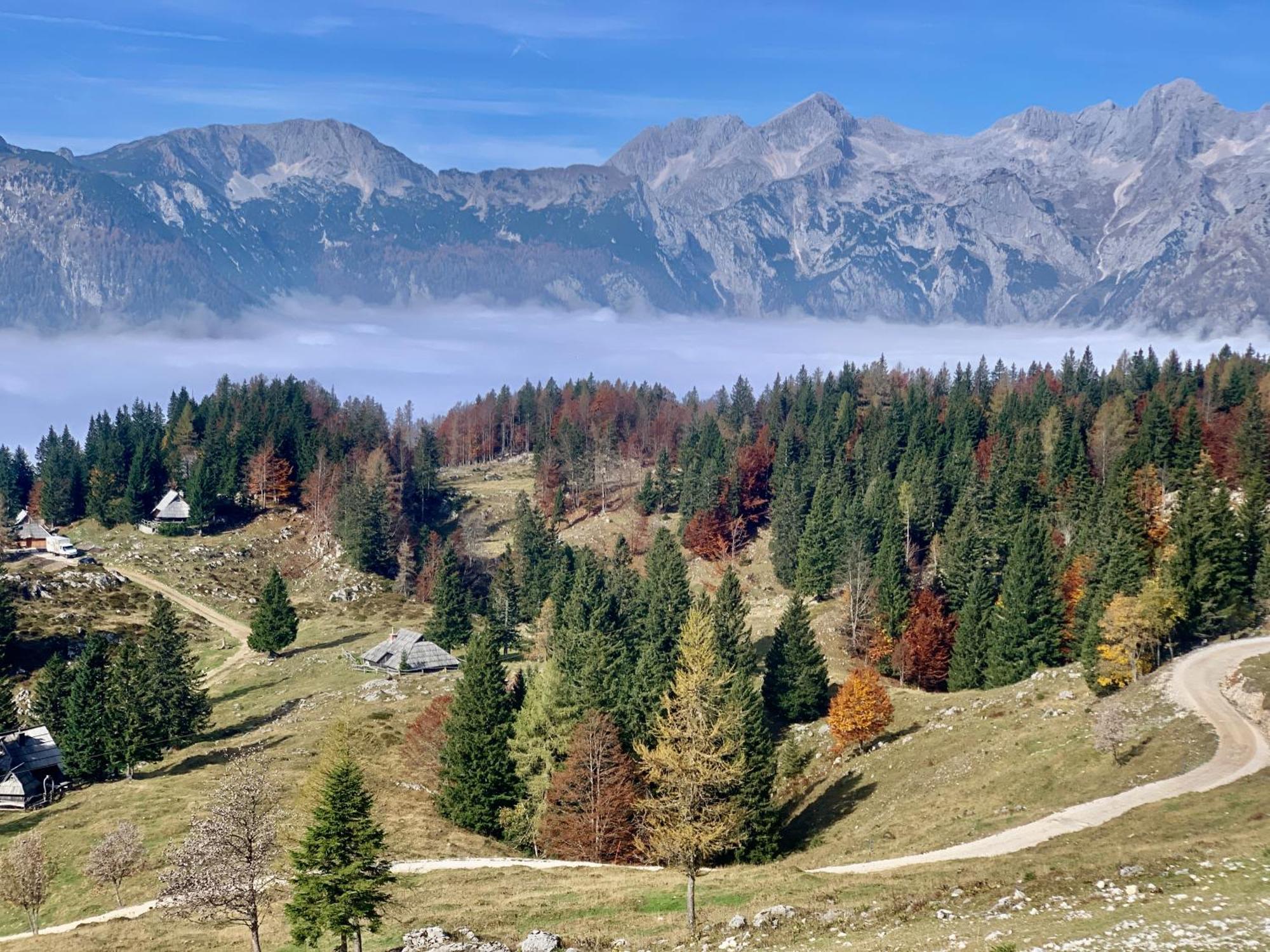 Velika Planina - Chalet Stane - Alps Stahovica Kültér fotó