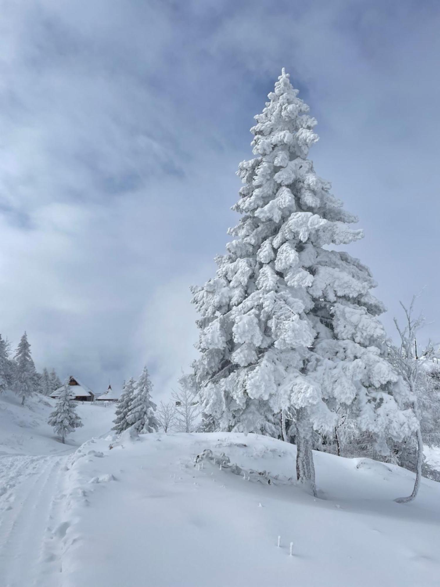 Velika Planina - Chalet Stane - Alps Stahovica Kültér fotó