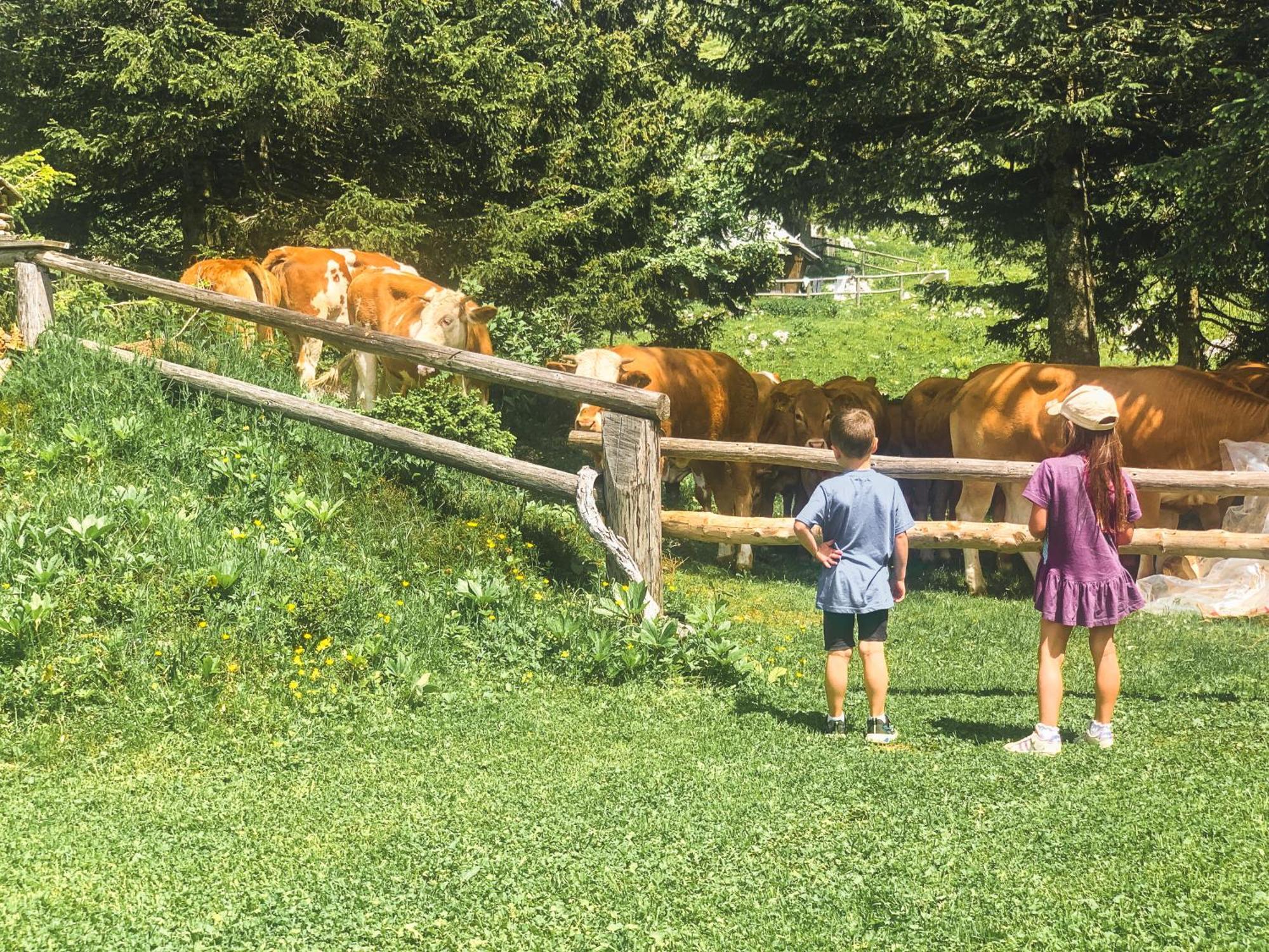 Velika Planina - Chalet Stane - Alps Stahovica Kültér fotó